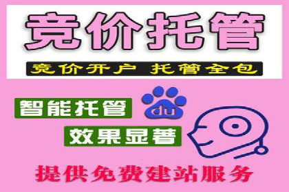 案例分享：竞价托管助力电商广告投放